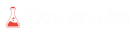 CasperLabs Logo